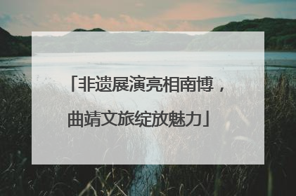 非遗展演亮相南博，曲靖文旅绽放魅力