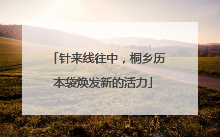 针来线往中，桐乡历本袋焕发新的活力