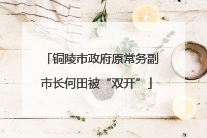 铜陵市政府原常务副市长何田被“双开”