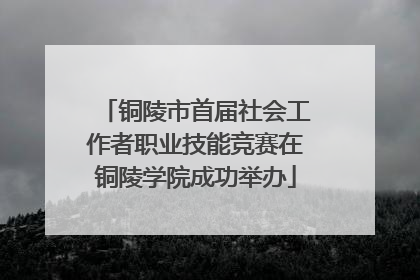 铜陵市首届社会工作者职业技能竞赛在铜陵学院成功举办