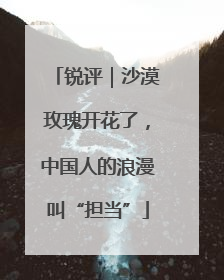 锐评｜沙漠玫瑰开花了，中国人的浪漫叫“担当”