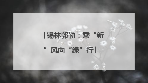 锡林郭勒：乘“新”风向“绿”行