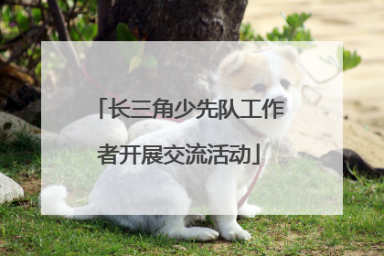 长三角少先队工作者开展交流活动