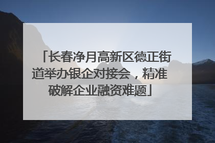 长春净月高新区德正街道举办银企对接会，精准破解企业融资难题