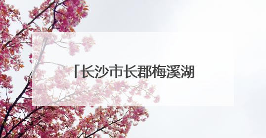 长沙市长郡梅溪湖中学：用雷锋精神培育高质量人才｜走进新时代“雷锋传人 长沙榜样”