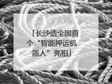 长沙造全国首个“智能押运机器人”亮相