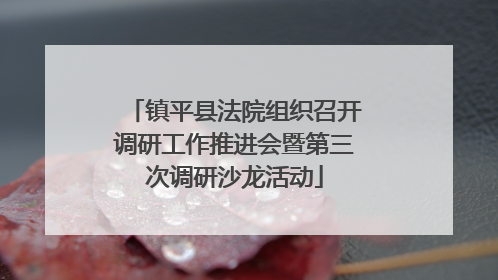 镇平县法院组织召开调研工作推进会暨第三次调研沙龙活动