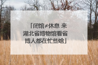 闭馆≠休息 来湖北省博物馆看省博人都在忙些啥