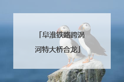 阜淮铁路跨涡河特大桥合龙