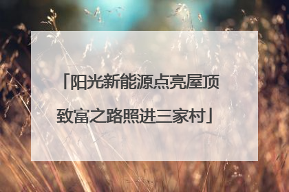 阳光新能源点亮屋顶 致富之路照进三家村
