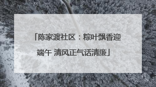 陈家渡社区：粽叶飘香迎端午 清风正气话清廉