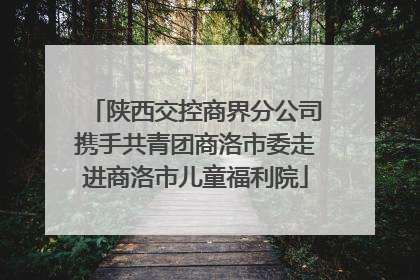 陕西交控商界分公司携手共青团商洛市委走进商洛市儿童福利院