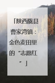 陕西陇县曹家湾镇：金色麦田里的“志愿红”