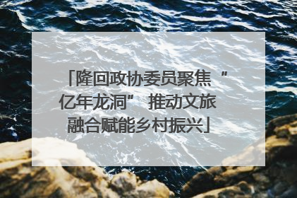 隆回政协委员聚焦“亿年龙洞” 推动文旅融合赋能乡村振兴