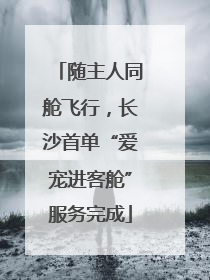随主人同舱飞行，长沙首单“爱宠进客舱”服务完成