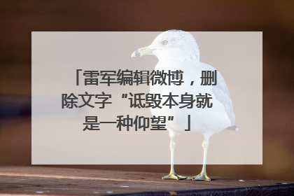 雷军编辑微博，删除文字“诋毁本身就是一种仰望”