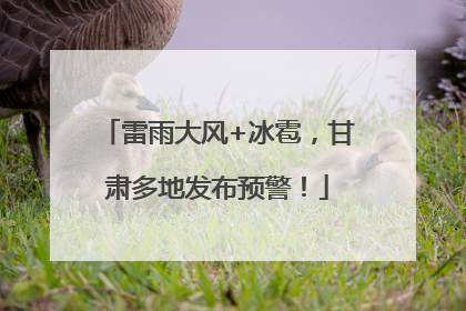 雷雨大风+冰雹，甘肃多地发布预警！