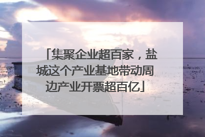集聚企业超百家，盐城这个产业基地带动周边产业开票超百亿