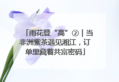 雨花登“高”②｜当非洲紫茶遇见湘江，订单里藏着共富密码