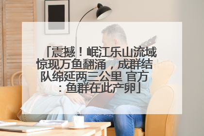 震撼！岷江乐山流域惊现万鱼翻涌，成群结队绵延两三公里 官方：鱼群在此产卵