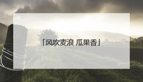 风吹麦浪 瓜果香