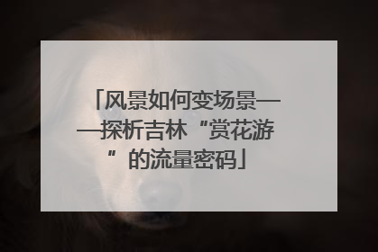 风景如何变场景——探析吉林“赏花游”的流量密码