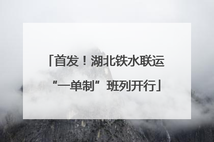 首发！湖北铁水联运“一单制”班列开行