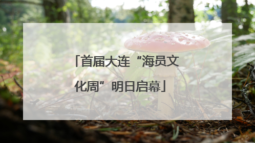 首届大连“海员文化周”明日启幕