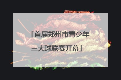 首届郑州市青少年三大球联赛开幕