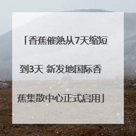 香蕉催熟从7天缩短到3天 新发地国际香蕉集散中心正式启用