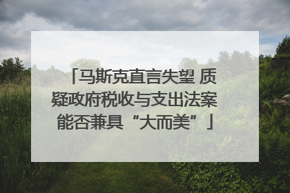马斯克直言失望 质疑政府税收与支出法案能否兼具“大而美”