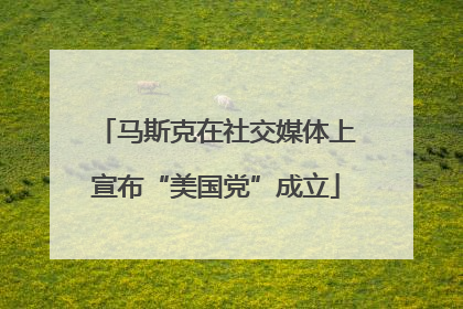 马斯克在社交媒体上宣布“美国党”成立