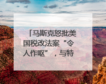 马斯克怒批美国税改法案“令人作呕”，与特朗普早生嫌隙？｜国际识局