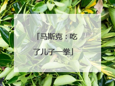 马斯克：吃了儿子一拳