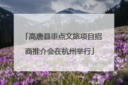高唐县重点文旅项目招商推介会在杭州举行