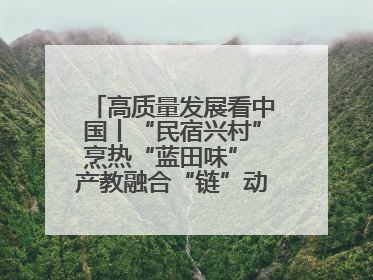 高质量发展看中国丨“民宿兴村”烹热“蓝田味” 产教融合“链”动发展新引擎