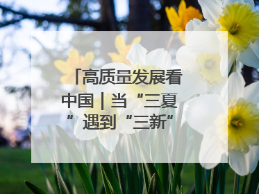 高质量发展看中国｜当“三夏”遇到“三新”：看南北田野里的科技共生记