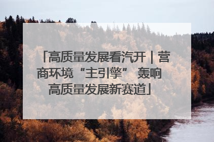 高质量发展看汽开｜营商环境“主引擎” 轰响高质量发展新赛道