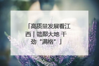 高质量发展看江西｜赣鄱大地 干劲“满格”