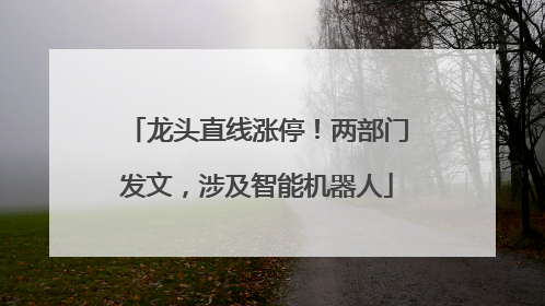 龙头直线涨停！两部门发文，涉及智能机器人