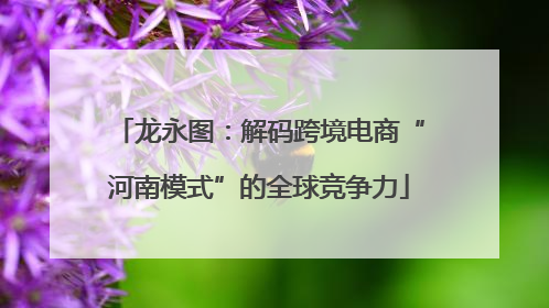 龙永图：解码跨境电商“河南模式”的全球竞争力