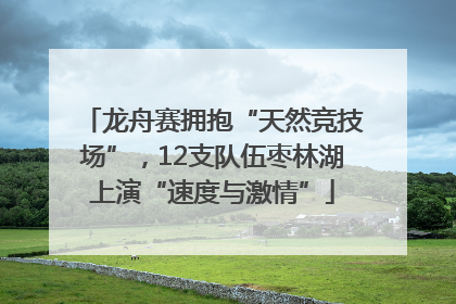 龙舟赛拥抱“天然竞技场”，12支队伍枣林湖上演“速度与激情”