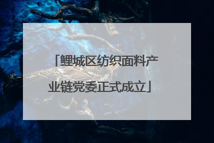 鲤城区纺织面料产业链党委正式成立