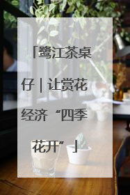鹭江茶桌仔｜让赏花经济“四季花开”