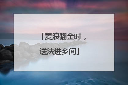 麦浪翻金时，送法进乡间