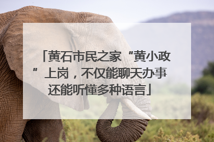 黄石市民之家“黄小政”上岗，不仅能聊天办事还能听懂多种语言