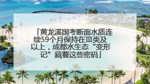 黄龙溪国考断面水质连续59个月保持在Ⅲ类及以上，成都水生态“变形记”藏着这些密码