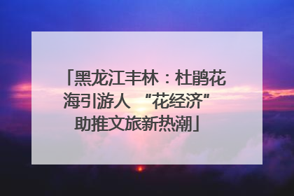 黑龙江丰林：杜鹃花海引游人 “花经济”助推文旅新热潮