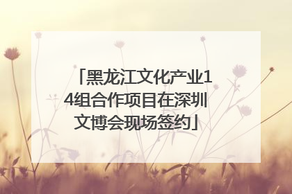 黑龙江文化产业14组合作项目在深圳文博会现场签约
