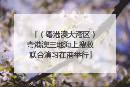 （粤港澳大湾区）粤港澳三地海上搜救联合演习在港举行